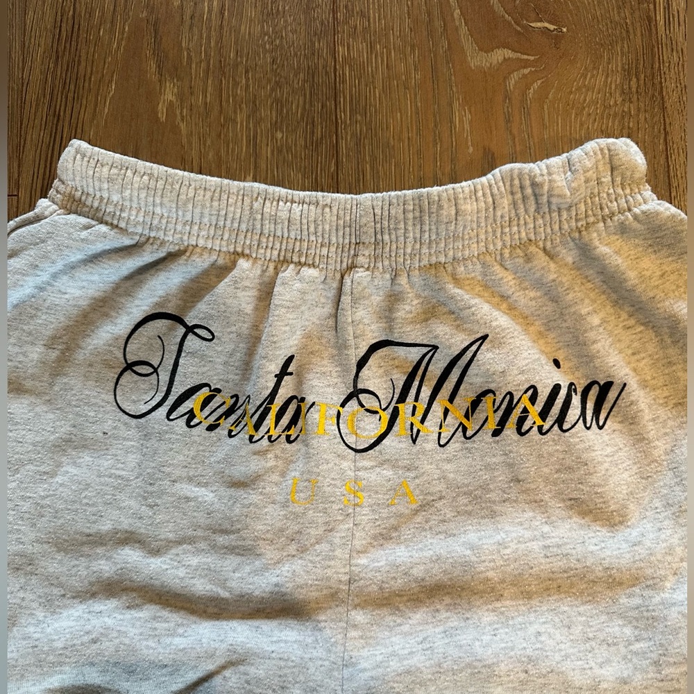 Urban outfitters Santa Monica sweatpants in size large